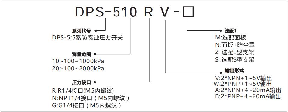 DPS-5數(shù)顯壓力傳感器型號(hào)說(shuō)明